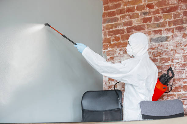 Best Water Damage & Mold Remediation  in Lebanon, NH