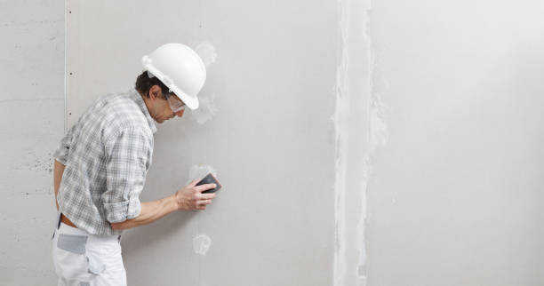 Best Biohazard Mold Removal  in Lebanon, NH
