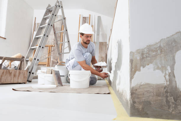 Best Attic Mold Removal  in Lebanon, NH
