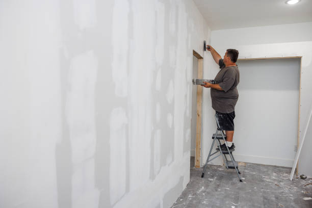 Best Emergency Mold Remediation  in Lebanon, NH