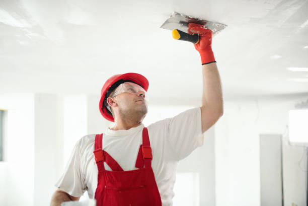 Professional Mold Removal in Lebanon, NH