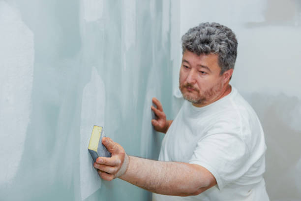 Best Mold Odor Removal Services  in Lebanon, NH