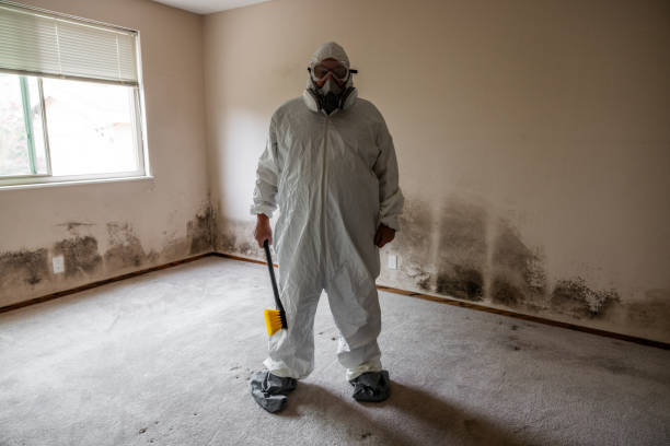Best Industrial Mold Remediation  in Lebanon, NH
